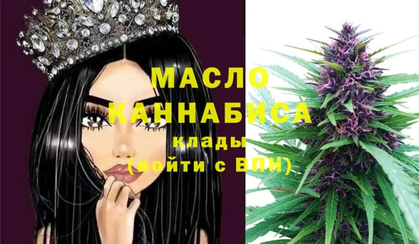 индика Нягань