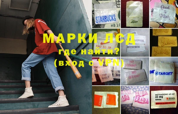 СК Няндома