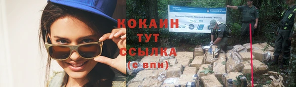 СК Няндома