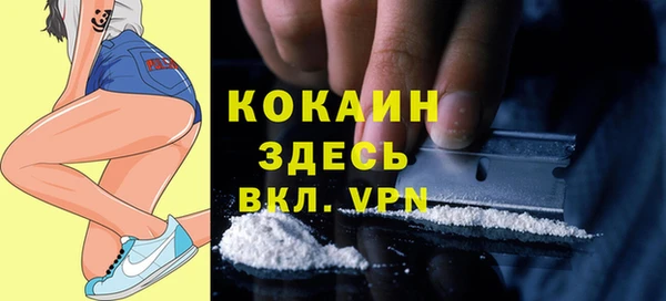 СК Няндома