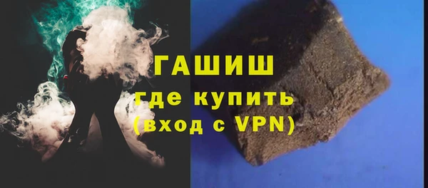 индика Нягань