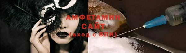 индика Нягань