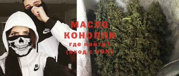 дмт Новозыбков