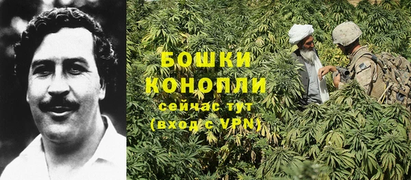 СК Няндома