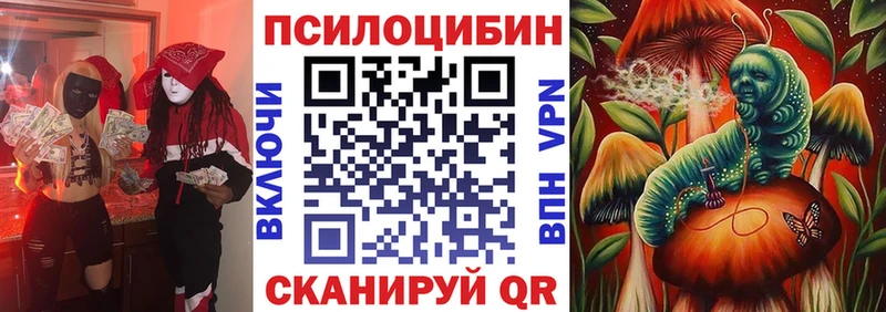 Псилоцибиновые грибы прущие грибы  Кораблино 